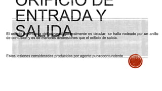 El orificio de entrada del proyectil generalmente es circular; se halla rodeado por un anillo
de contusion y es de menores dimensiones que el orificio de salida.
Estas lesiones consideradas producidas por agente punzocontundente
 