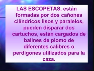 LAS ESCOPETAS, están
formadas por dos cañones
cilíndricos lisos y paralelos,
pueden disparar dos
cartuchos, están cargados de
balines de plomo de
diferentes calibres o
perdigones utilizados para la
caza.
 