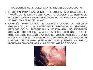 CATEGORIAS GENERALES PARA PERDIGONES DE ESCOPETA:
• PERDIGON PARA CAZA MENOR : SE UTILIZA PARA PAJAROS , EL
TAMAÑO DE PERDIGON GENERALMENTE VA DEL #12 AL #000 BUCK
(POSTA). CUANTO MENOR SEA EL NUMERO DEL PERDIGON , MAYOR
SERA EL DIAMETRO DEL MISMO .
• MUNICIÓN PARA CARGA DE POSTAS : UTILIZA UN RELLENO
GRANULADO , EL CUAL AMORTIGUA EL PERDIGON AL DISPARSE ,
REDUCIENDO SU DISTORSIÓN Y MEJORANDO LOS PATRONES
(ROSA DE DISPERSIÓN).PARA EL PATOLOGO FORENSE , ES DE
INTERES ESTE RELLENO , YA QUE SE VUELVE ADHERENTE A LA
ROPA Y A LA PIEL . A DISTANCIAS CERCANAS PUEDE PRODUCIR
MARCAS DE GRANEO (PSEUDOTATUAJE ) SOBRE LA PIEL ,
IDENTICAS EN APARIENCIA A LAS DE TATUAJE DE POLVORA .
 