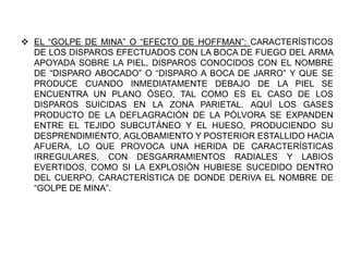  EL “GOLPE DE MINA” O “EFECTO DE HOFFMAN”: CARACTERÍSTICOS
DE LOS DISPAROS EFECTUADOS CON LA BOCA DE FUEGO DEL ARMA
APOYADA SOBRE LA PIEL, DISPAROS CONOCIDOS CON EL NOMBRE
DE “DISPARO ABOCADO” O “DISPARO A BOCA DE JARRO” Y QUE SE
PRODUCE CUANDO INMEDIATAMENTE DEBAJO DE LA PIEL SE
ENCUENTRA UN PLANO ÓSEO, TAL COMO ES EL CASO DE LOS
DISPAROS SUICIDAS EN LA ZONA PARIETAL. AQUÍ LOS GASES
PRODUCTO DE LA DEFLAGRACIÓN DE LA PÓLVORA SE EXPANDEN
ENTRE EL TEJIDO SUBCUTÁNEO Y EL HUESO, PRODUCIENDO SU
DESPRENDIMIENTO, AGLOBAMIENTO Y POSTERIOR ESTALLIDO HACIA
AFUERA, LO QUE PROVOCA UNA HERIDA DE CARACTERÍSTICAS
IRREGULARES, CON DESGARRAMIENTOS RADIALES Y LABIOS
EVERTIDOS, COMO SI LA EXPLOSIÓN HUBIESE SUCEDIDO DENTRO
DEL CUERPO, CARACTERÍSTICA DE DONDE DERIVA EL NOMBRE DE
“GOLPE DE MINA”.
 