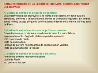 Balistica terminal balistica de las heridas PPT