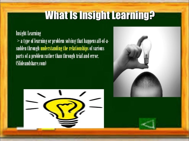 insight learning insight learning