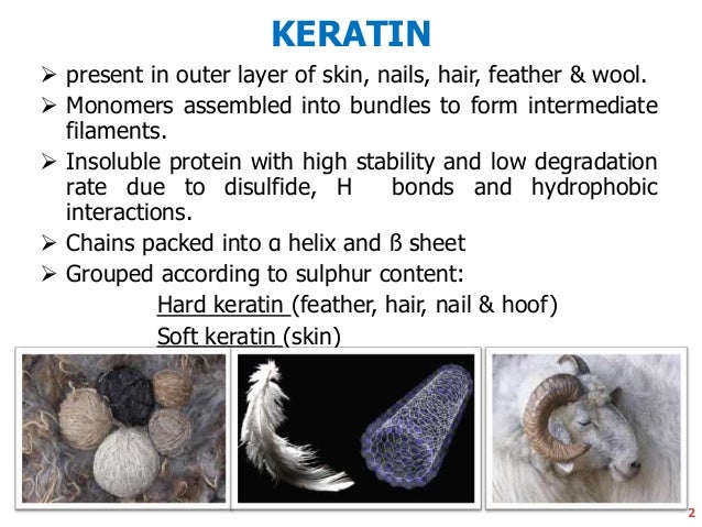 of nails composition B'al keratinases