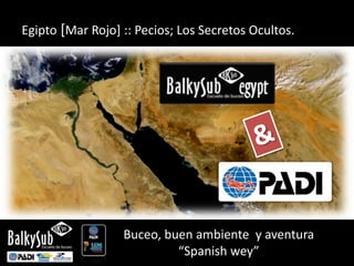 Egipto [Mar Rojo] :: Pecios; Los Secretos Ocultos.




                  Buceo, buen ambiente y aventura
                           “Spanish wey”
 