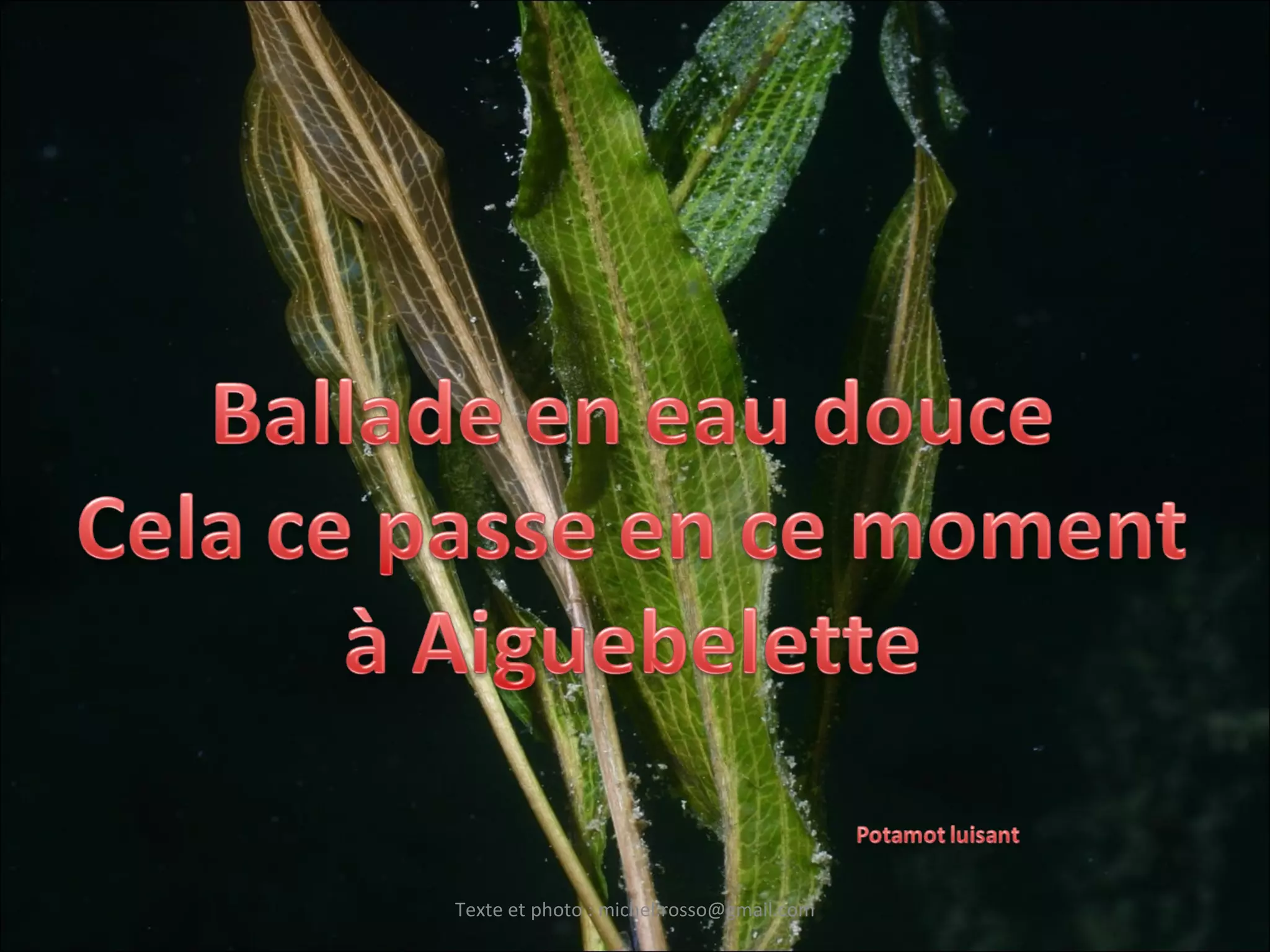 Texte et photo : michel.rosso@gmail.com