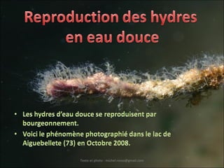 Texte et photo : michel.rosso@gmail.com