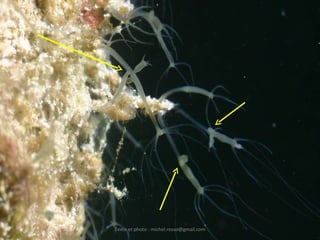 Texte et photo : michel.rosso@gmail.com