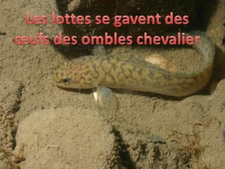 Texte et photo : michel.rosso@gmail.com