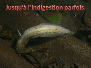 Texte et photo : michel.rosso@gmail.com