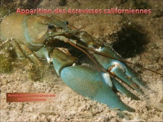 Texte et photo : michel.rosso@gmail.com