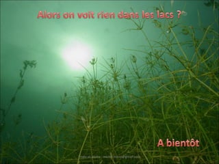 Texte et photo : michel.rosso@gmail.com