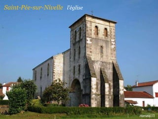 Saint-Pée-sur-Nivelle  l’église 