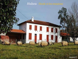 Halsou  l’école et les moutons 
