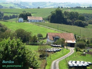 Bardos  un panorama 