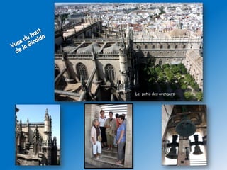 Le patio des orangers
 