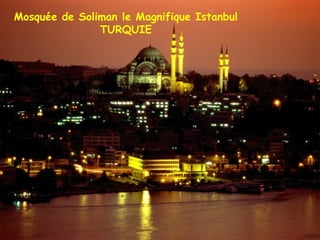 Mosquée de Soliman le Magnifique Istanbul TURQUIE 