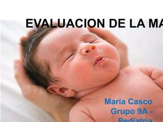 EVALUACION DE LA MA
María Casco
Grupo 9A -
 