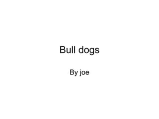 Bull dogs By joe 