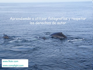 Aprendiendo a utilizar fotografías y respetar los derechos de autor www.flickr.com www.compfight.com