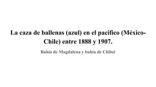 La caza de ballenas (azul) en el pacifico (México-
Chile) entre 1888 y 1907.
Bahía de Magdalena y bahía de Chiloé
 