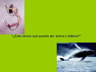 BETY "¿Este verano qué queréis ser: sirena o ballena?"  