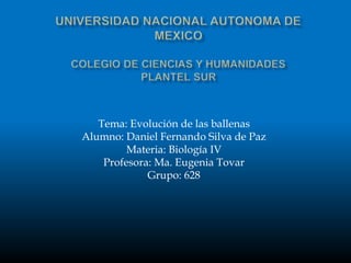 Tema: Evolución de las ballenas
Alumno: Daniel Fernando Silva de Paz
Materia: Biología IV
Profesora: Ma. Eugenia Tovar
Grupo: 628
 
