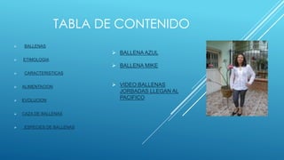 TABLA DE CONTENIDO
 BALLENAS
 ETIMOLOGIA
 CARACTERISTICAS
 ALIMENTACION
 EVOLUCION
 CAZA DE BALLENAS
 ESPECIES DE BALLENAS
 BALLENA AZUL
 BALLENA MIKE
 VIDEO:BALLENAS
JORBADAS LLEGAN AL
PACIFICO
 