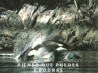 PIENSA QUE PUEDES Y PODRAS 
