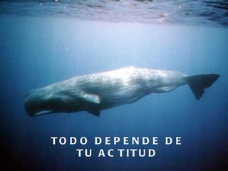 TODO DEPENDE DE TU ACTITUD 