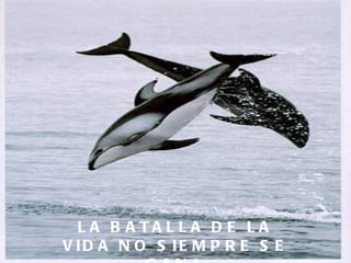 LA BATALLA DE LA VIDA NO SIEMPRE SE GANA 