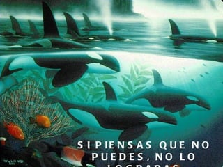 SI PIENSAS QUE NO PUEDES, NO LO LOGRARAS 