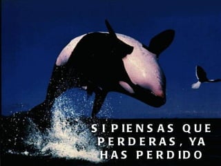 SI PIENSAS QUE PERDERAS, YA HAS PERDIDO 