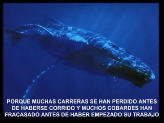 PORQUE MUCHAS CARRERAS SE HAN PERDIDO ANTES DE HABERSE CORRIDO Y MUCHOS COBARDES HAN FRACASADO ANTES DE HABER EMPEZADO SU TRABAJO 