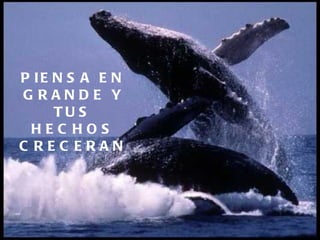 PIENSA EN GRANDE Y TUS HECHOS CRECERAN 