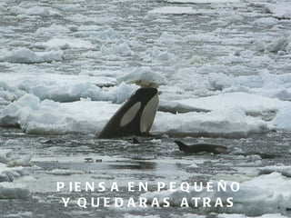 PIENSA EN PEQUEÑO Y QUEDARAS ATRAS 