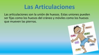 Las Articulaciones
Las articulaciones son la unión de huesos. Estas uniones pueden
ser fijas como los huesos del cráneo y móviles como los huesos
que mueven las piernas.
 