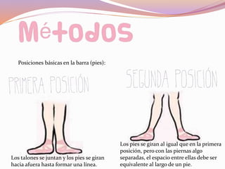 Posiciones básicas en la barra (pies):
Los talones se juntan y los pies se giran
hacia afuera hasta formar una línea.
Los pies se giran al igual que en la primera
posición, pero con las piernas algo
separadas, el espacio entre ellas debe ser
equivalente al largo de un pie.
 