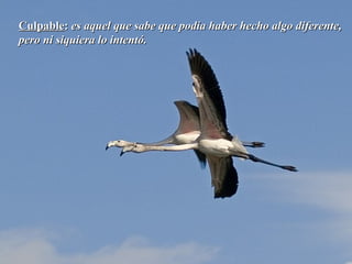 CulpableCulpable:: es aquel que sabe que podía haber hecho algo diferente,es aquel que sabe que podía haber hecho algo diferente,
pero ni siquiera lo intentó.pero ni siquiera lo intentó.
 