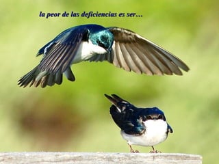 la peor de las deficiencias es ser…la peor de las deficiencias es ser…
 