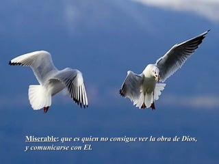MiserableMiserable:: que es quien no consigue ver la obra de Dios,que es quien no consigue ver la obra de Dios,
y comunicarse con El.y comunicarse con El.
 
