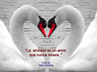 Fim
““La amistad es un amorLa amistad es un amor
que nunca muere. "que nunca muere. "
Texto deTexto de
Mário Quintana.Mário Quintana.
 
