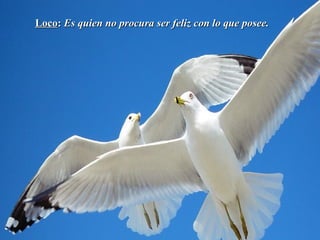 LocoLoco:: Es quien no procura ser feliz con lo que posee.Es quien no procura ser feliz con lo que posee.
 