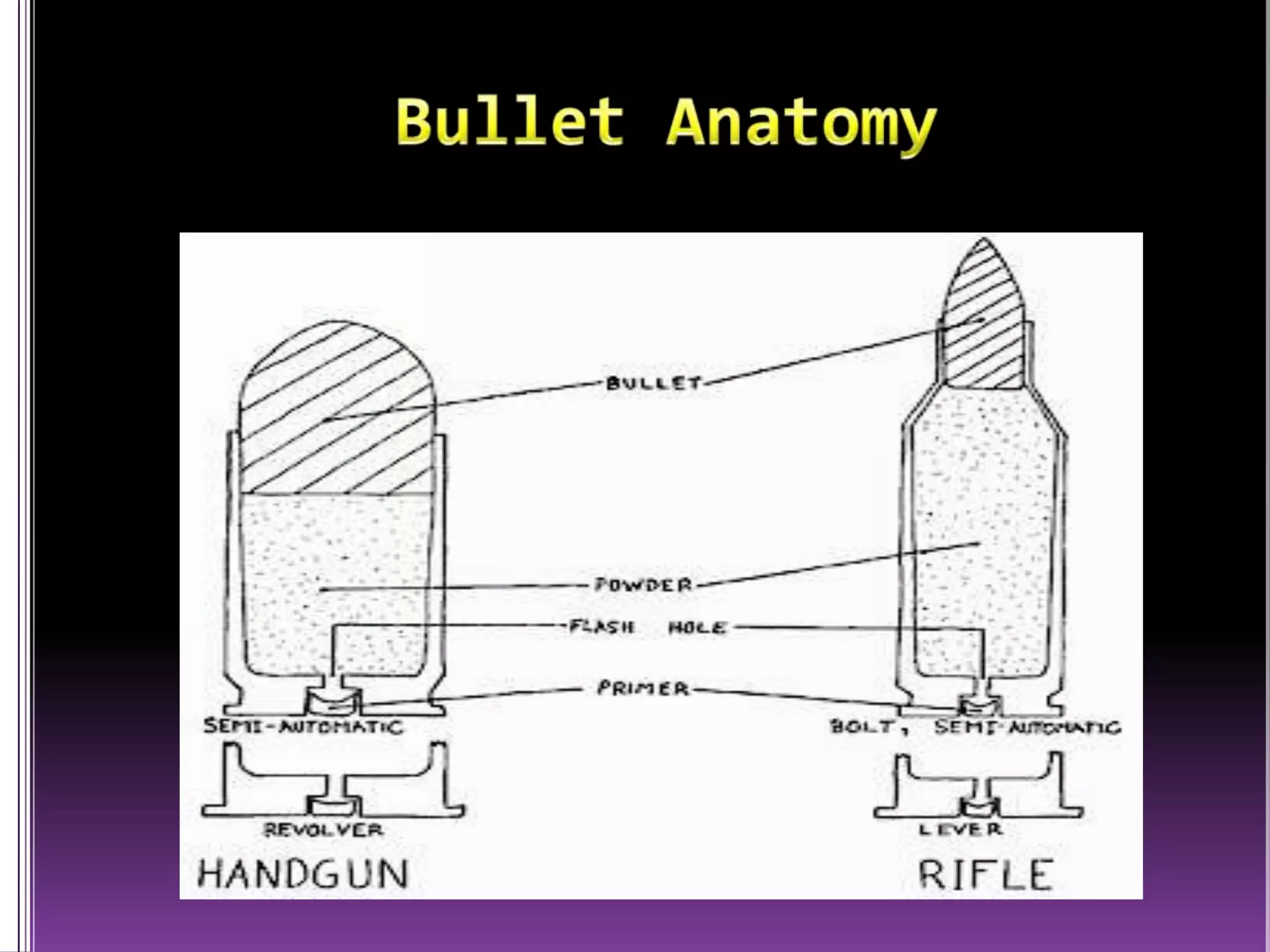 Bullet Anatomy