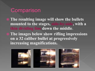 Forensic Ballistics | PPTX