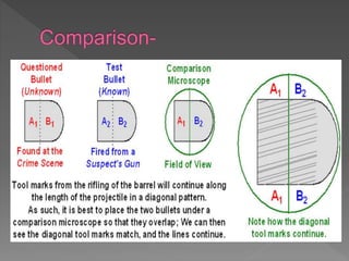 Forensic Ballistics | PPTX