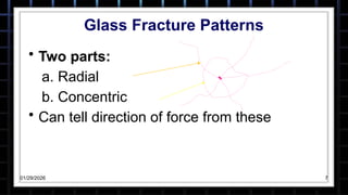 Glass Type Break Pattern BALLISTICSGLASS-FRACTURE-PPT-IDETED.pptx