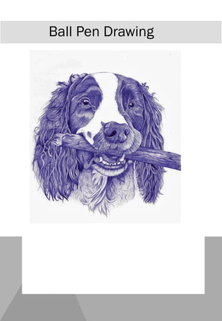 Ball Pen Drawing
 