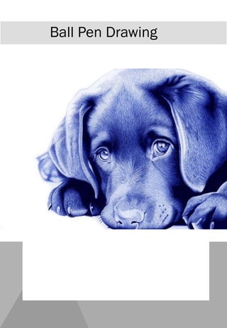 Ball Pen Drawing
 