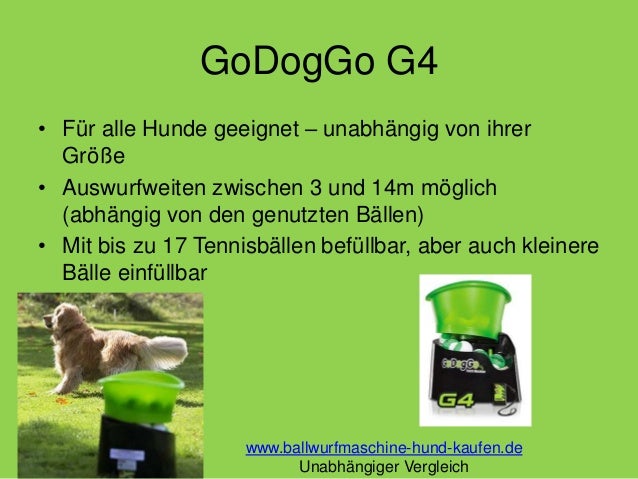 Ballwurfmaschine Hund Die 4 Besten Geräte!