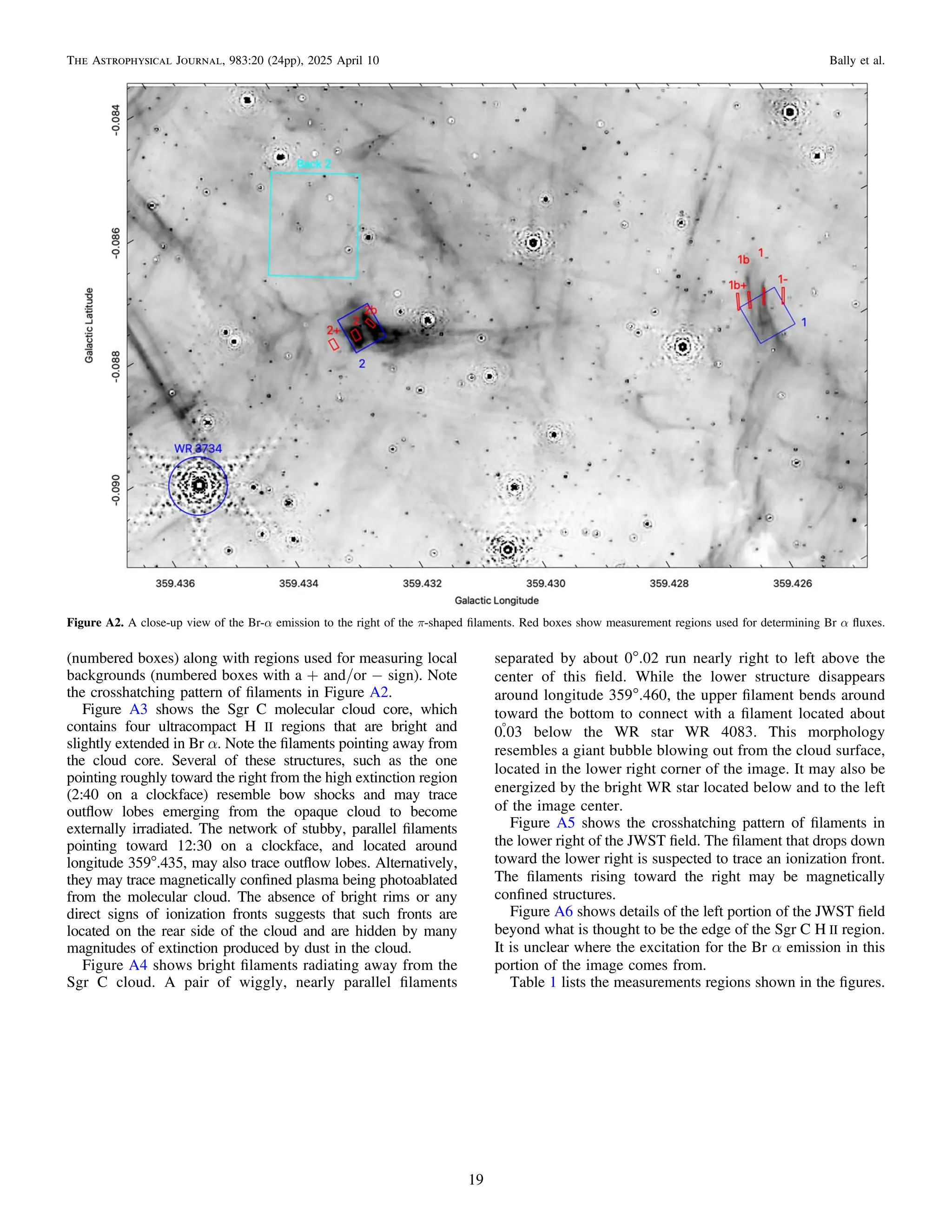 (numbered boxes) along with regions used for measuring local
backgrounds (numbered boxes with a + and/or − sign). Note
the crosshatching pattern of ﬁlaments in Figure A2.
Figure A3 shows the Sgr C molecular cloud core, which
contains four ultracompact H II regions that are bright and
slightly extended in Br α. Note the ﬁlaments pointing away from
the cloud core. Several of these structures, such as the one
pointing roughly toward the right from the high extinction region
(2:40 on a clockface) resemble bow shocks and may trace
outﬂow lobes emerging from the opaque cloud to become
externally irradiated. The network of stubby, parallel ﬁlaments
pointing toward 12:30 on a clockface, and located around
longitude 359°.435, may also trace outﬂow lobes. Alternatively,
they may trace magnetically conﬁned plasma being photoablated
from the molecular cloud. The absence of bright rims or any
direct signs of ionization fronts suggests that such fronts are
located on the rear side of the cloud and are hidden by many
magnitudes of extinction produced by dust in the cloud.
Figure A4 shows bright ﬁlaments radiating away from the
Sgr C cloud. A pair of wiggly, nearly parallel ﬁlaments
separated by about 0°.02 run nearly right to left above the
center of this ﬁeld. While the lower structure disappears
around longitude 359°.460, the upper ﬁlament bends around
toward the bottom to connect with a ﬁlament located about
0
.03 below the WR star WR 4083. This morphology
resembles a giant bubble blowing out from the cloud surface,
located in the lower right corner of the image. It may also be
energized by the bright WR star located below and to the left
of the image center.
Figure A5 shows the crosshatching pattern of ﬁlaments in
the lower right of the JWST ﬁeld. The ﬁlament that drops down
toward the lower right is suspected to trace an ionization front.
The ﬁlaments rising toward the right may be magnetically
conﬁned structures.
Figure A6 shows details of the left portion of the JWST ﬁeld
beyond what is thought to be the edge of the Sgr C H II region.
It is unclear where the excitation for the Br α emission in this
portion of the image comes from.
Table 1 lists the measurements regions shown in the ﬁgures.
Figure A2. A close-up view of the Br-α emission to the right of the π-shaped ﬁlaments. Red boxes show measurement regions used for determining Br α ﬂuxes.
19
The Astrophysical Journal, 983:20 (24pp), 2025 April 10 Bally et al.
 